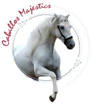 neues logo caballos_edited (1)